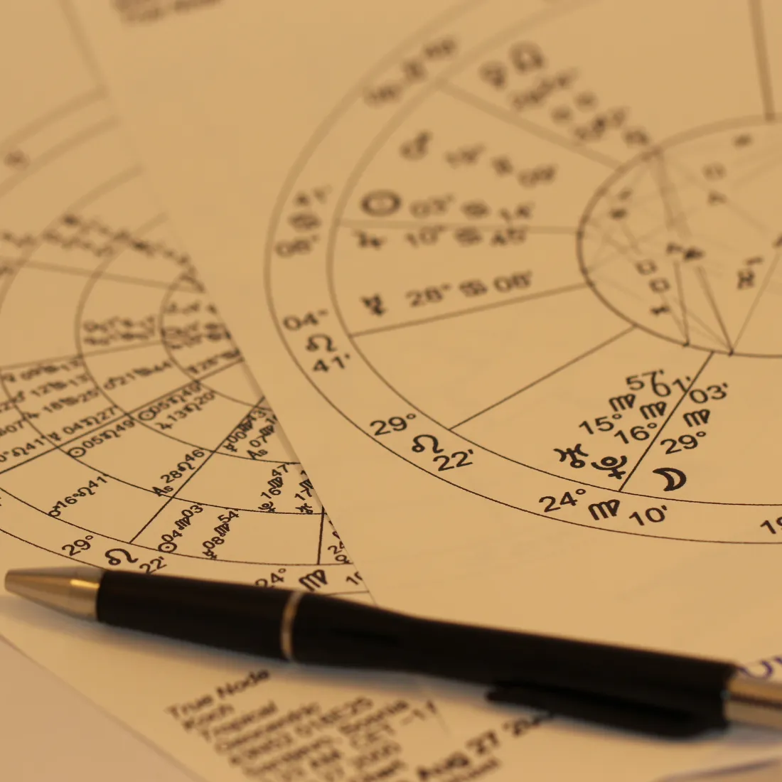 Astrologer course